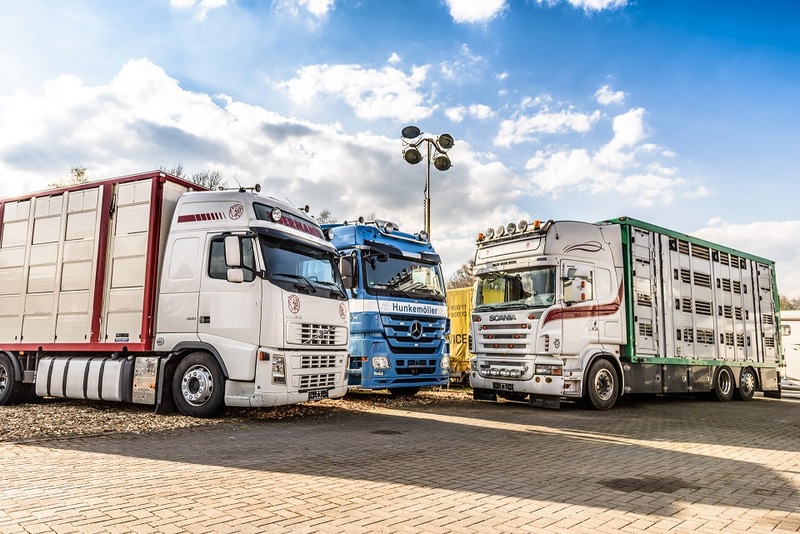 WS Trucks GmbH - Trailers - 2-axle undefined: picture 1