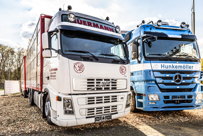 WS Trucks GmbH - Trailers - 2-axle undefined: picture 2
