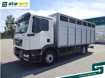 Horse truck MAN TGM 15.290