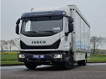 Box truck IVECO EuroCargo