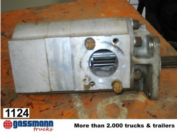 Hydraulic pump