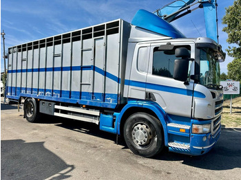 Livestock truck SCANIA P 310