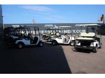 Golf cart BRINGO DG-C2 Valid Inspection, *Guarantee! Dutch R: picture 4 Golf cart BRINGO DG-C2 Valid Inspection, *Guarantee! Dutch R: picture 4