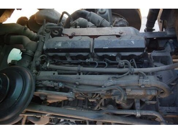 Engine for Truck MAN D0834LFL02   MAN truck: picture 5