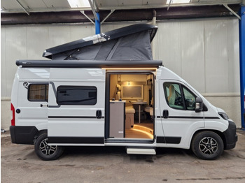 Interior photo 1: New Camper van Etrusco CV 600 DB