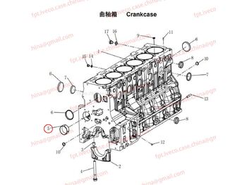 Piston/ Ring/ Bushing MAN