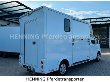 Livestock truck Renault Master 3 - Sitzer *NEUES MODELL*: picture 5 Livestock truck Renault Master 3 - Sitzer *NEUES MODELL*: picture 5