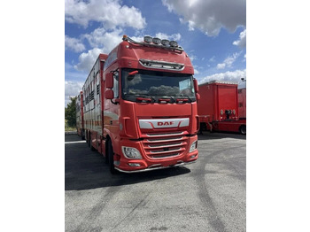 Livestock truck DAF XF 460