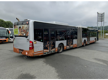 Articulated bus Mercedes-Benz O 530 G Citaro: picture 3