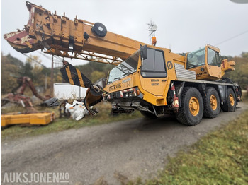 Crane TADANO RTF 40-3
