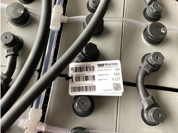 Battery Eternity 80V   6 PZS 750 (NEU): picture 2