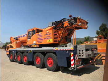 Terex Demag AC 250-5 on lease Terex Demag AC 250-5: picture 5