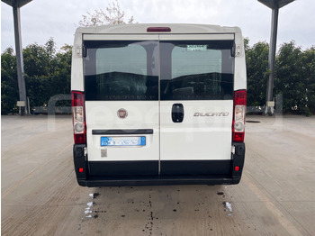 Minibus, Passenger van Fiat Ducato: picture 5