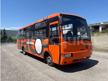 School bus IVECO