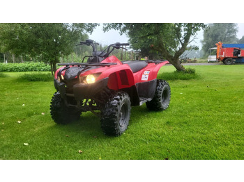 Side-by-side/ ATV YAMAHA