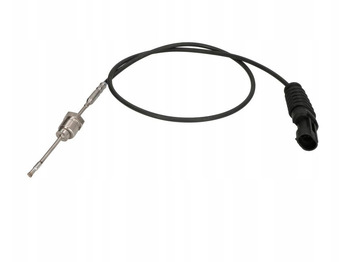 Exhaust system DAF CF