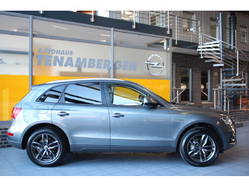 SUV Audi Q5 2.0 TDI  S-tronic quattro Panorama Kamera ACC: picture 3