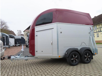 Horse trailer Böckmann Pferdeanhänger Champion R Flügeltür Saka. 100km/h: picture 3