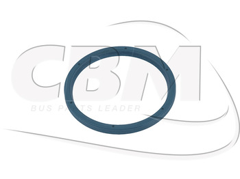 Steering IRISBUS