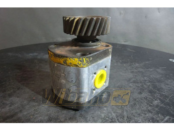 Hydraulic pump BOSCH