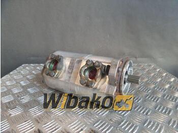 Hydraulic pump CASAPPA