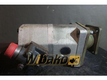 Hydraulic pump