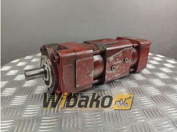 Hydraulic pump