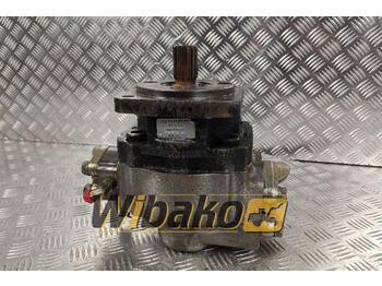 Hydraulic pump
