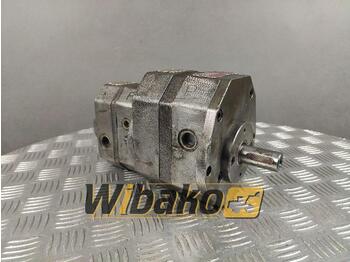 Hydraulic pump