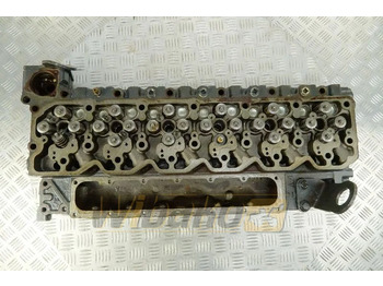 Cylinder head IVECO