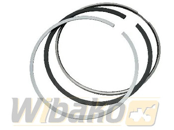 Piston/ Ring/ Bushing
