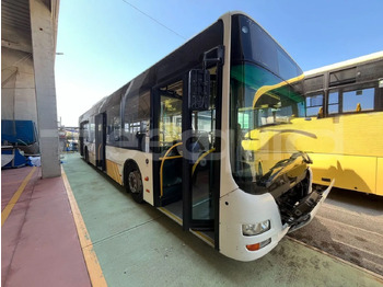 City bus MAN Lion's City