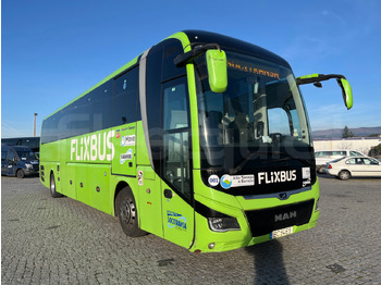 Coach MAN Lion's Coach