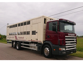 Livestock truck Scania 124 420 Do żywca: picture 2