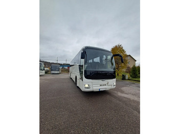 Coach MAN Lion's Coach