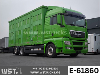 Horse truck MAN TGX 26.480
