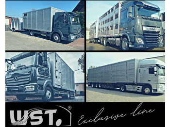 Refrigerator semi-trailer Schmitz Cargobull Kühlauflieger  Blumenbreit Vector 1550: picture 5