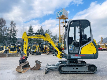 Mini excavator NEUSON