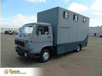 Horse truck MAN