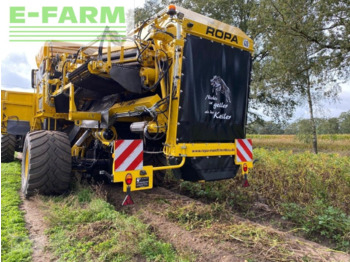 Potato harvester ROPA