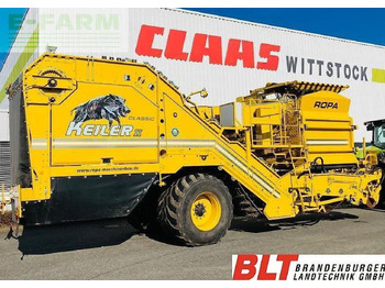 Potato harvester ROPA