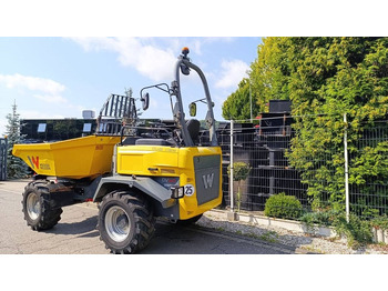 Wacker Neuson Dumper Wacker Neuson DV 60, Dual View, 6 t, Allrad  on lease Wacker Neuson Dumper Wacker Neuson DV 60, Dual View, 6 t, Allrad: picture 3