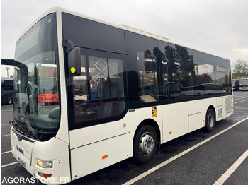 Bus MAN