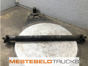 Drive shaft DAF