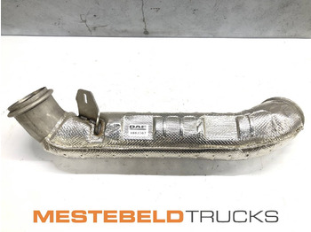 Exhaust system DAF