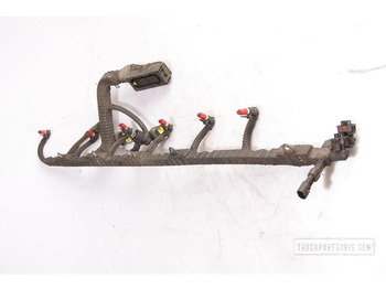 Cables/ Wire harness DAF