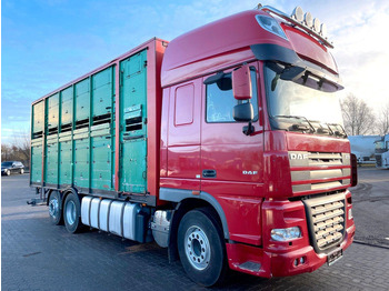 Livestock truck DAF XF 105 460