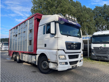 Livestock truck MAN TGX 26.400 6x2-2 LL 3 Stück Finkl Hubdach: picture 5