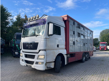 Livestock truck MAN TGX 26.400 6x2-2 LL 3 Stück Finkl Hubdach: picture 2