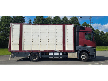 Livestock truck Mercedes-Benz Actros 1851: picture 2 Livestock truck Mercedes-Benz Actros 1851: picture 2